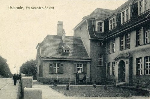 nowe-21349.jpg