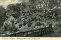 nowe-21230.jpg