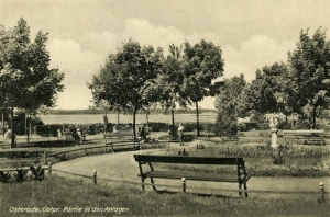 Ostróda park - Reprodukcja 21231