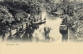 nowe-21272.jpg