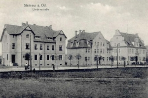 Ścinawa Lindenstr. - Reprodukcja 21338