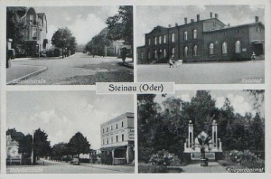 Ścinawa widokowa - Reprodukcja 21339