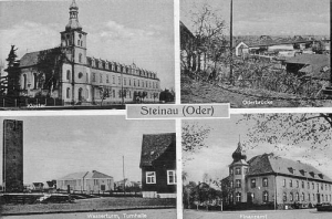 Ścinawa widokowa - Reprodukcja 21349