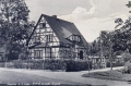 nowe-21357.jpg