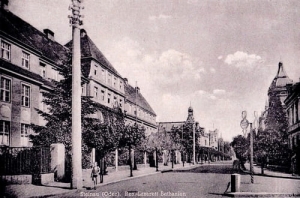 Ścinawa - Reprodukcja 21358