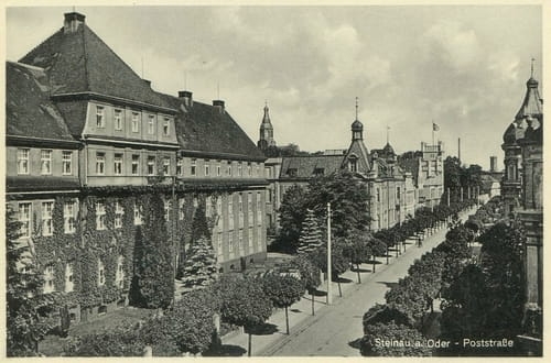 nowe-21359.jpg