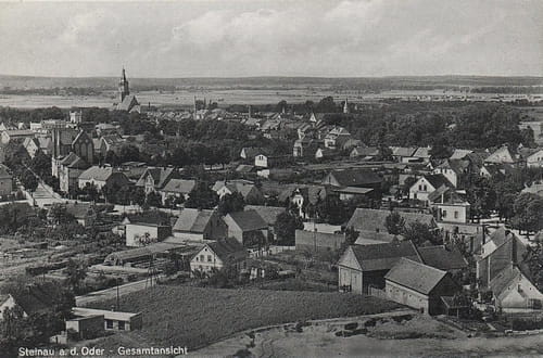 nowe-21360.jpg