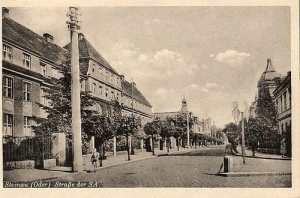 Ścinawa - Reprodukcja 21389