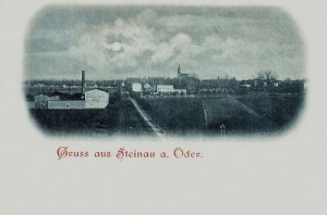 Ścinawa panorama - Reprodukcja 21393