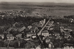 Ścinawa panorama - Reprodukcja 21409
