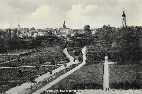 nowe-21430.jpg