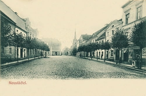 nowe-21432.jpg