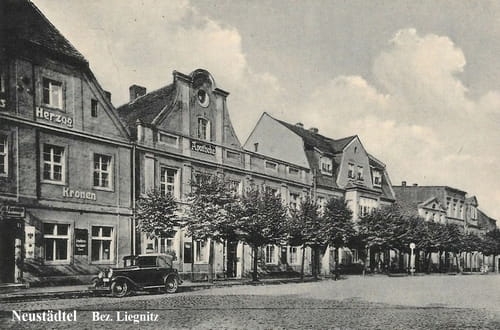 nowe-21433.jpg