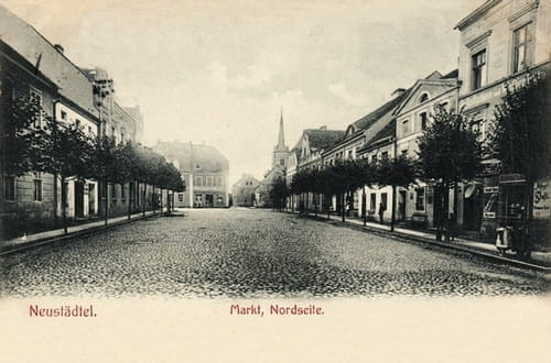 nowe-21446.jpg