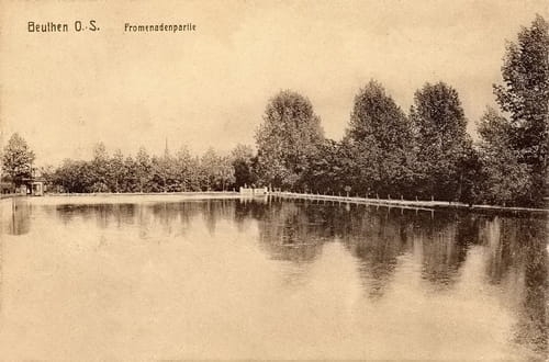 nowe-21557.jpg