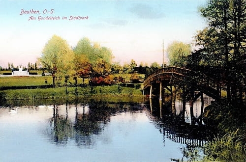 nowe-21559.jpg