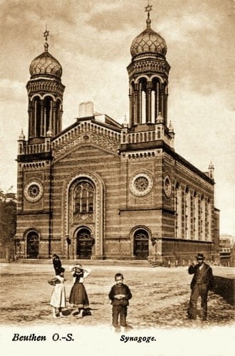 nowe-21574.jpg