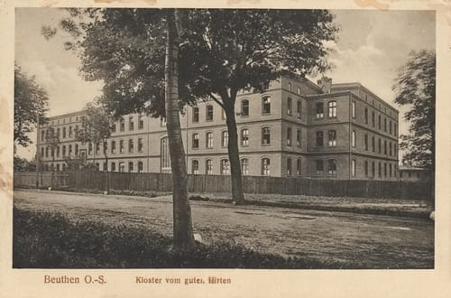 nowe-21741.jpg