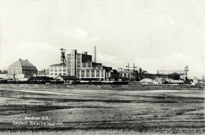 Bytom - Reprodukcja 21743