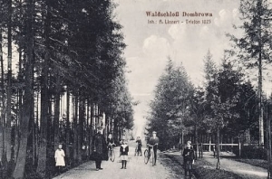 Bytom - Reprodukcja 21747