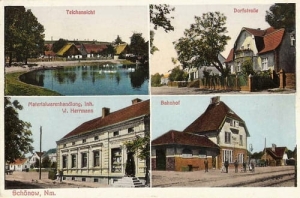 Sieniawa Schonow Nm. - Reprodukcja 21759