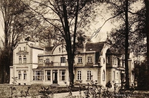 Sieniawa Schonow Nm. - Reprodukcja 21762