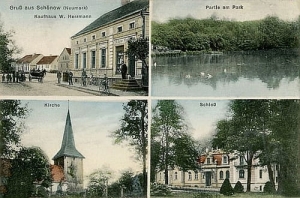 Sieniawa Schonow Nm. - Reprodukcja 21763
