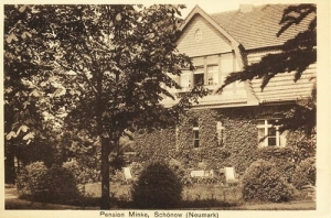 Sieniawa Schonow Nm. - Reprodukcja 21766