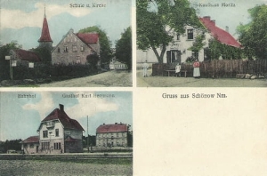 Sieniawa Schonow Nm. - Reprodukcja 21768