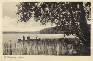 Złocieniec jezioro - Reprodukcja 16106