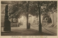nowe-21911.jpg