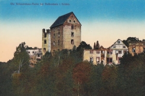 Świny zamek - Reprodukcja 21922