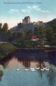 Świny zamek - Reprodukcja 21924