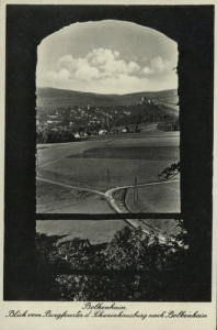 Świny panorama - Reprodukcja 21933