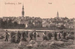 Gryfów Śląski panorama- Reprodukcja 21804