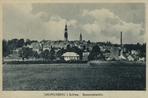 Gryfów Śląski panorama- Reprodukcja 21814