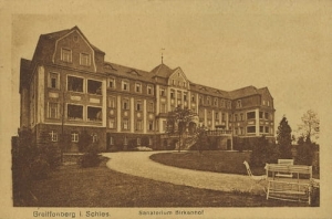Gryfów Śląski Sanatorium - Reprodukcja 21829
