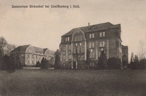 Gryfów Śląski Sanatorium - Reprodukcja 21831