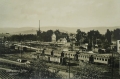 nowe-21864.jpg