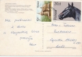 nowe-IMG_0013_NEW.jpg