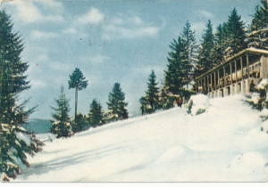 Krynica - 07809