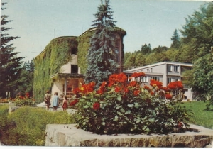 Muszyna - 07811