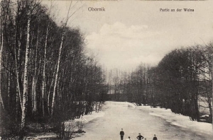 Oborniki rz. Wełna - Reprodukcja 22008