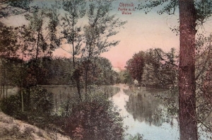 Oborniki rz. Wełna - Reprodukcja 22010