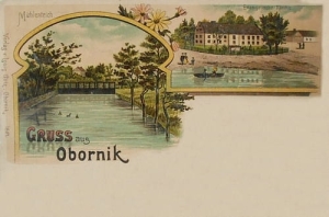 Oborniki - Reprodukcja 22017