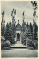 nowe-22058.jpg