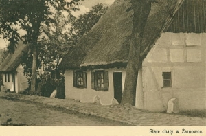 Żarnowiec chaty - Reprodukcja 22111