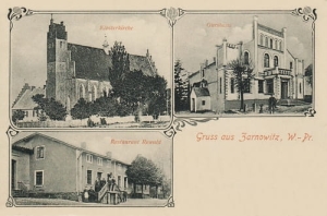 Żarnowiec widokowa - Reprodukcja 22112