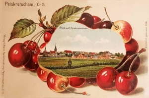Pyskowice panorama - Reprodukcja 22146