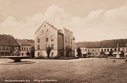 nowe-22153.jpg